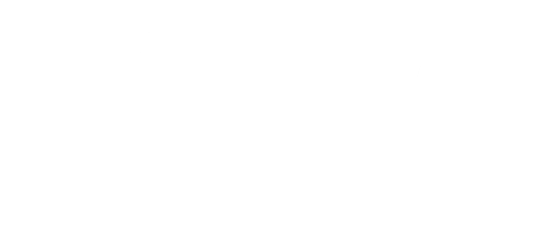MS Web Designer Logo