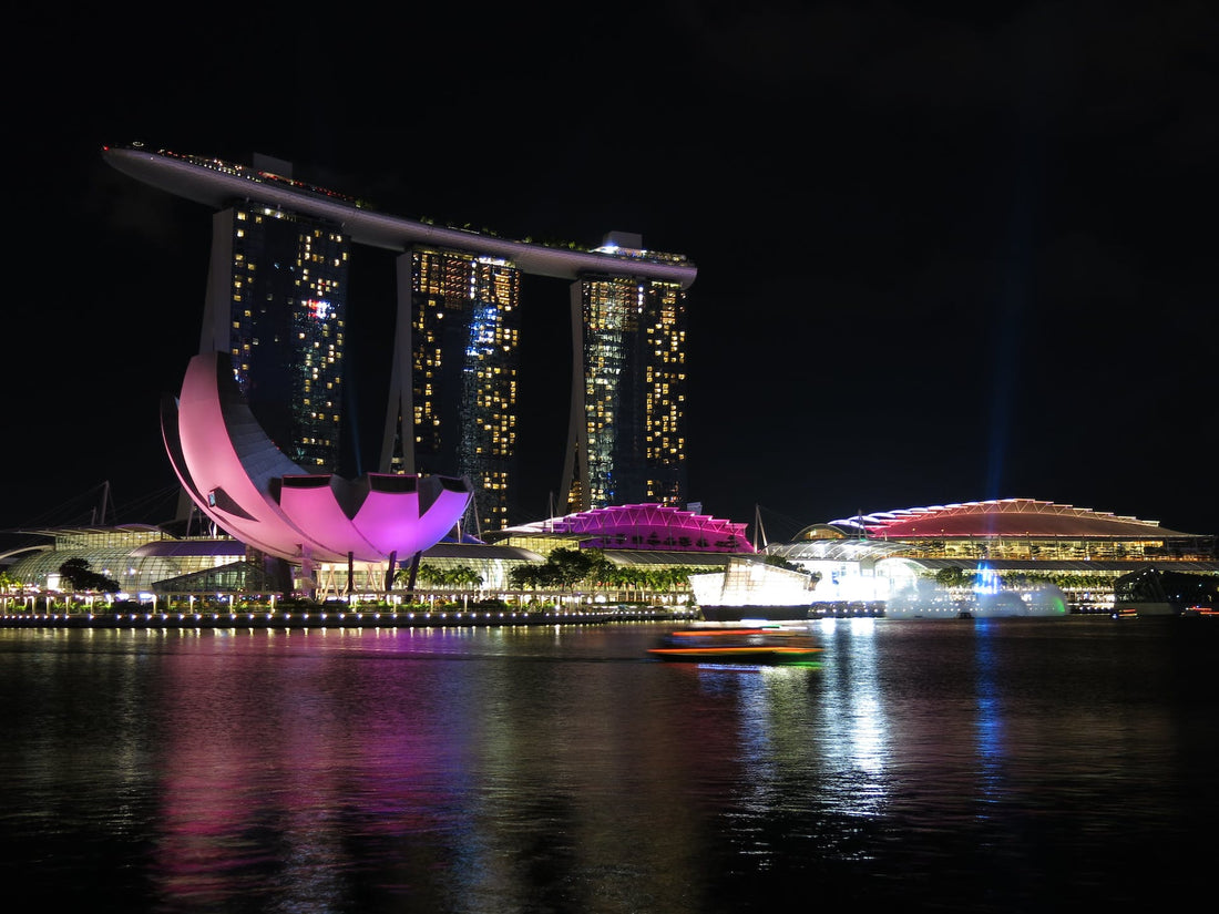 Maximize Your Shopify Potential in Singapore with the PSG Grant