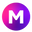 MS Web logo